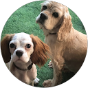 Conchi G. profile picture